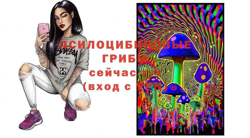 Псилоцибиновые грибы Cubensis  ОМГ ОМГ ТОР  Онега  где продают  